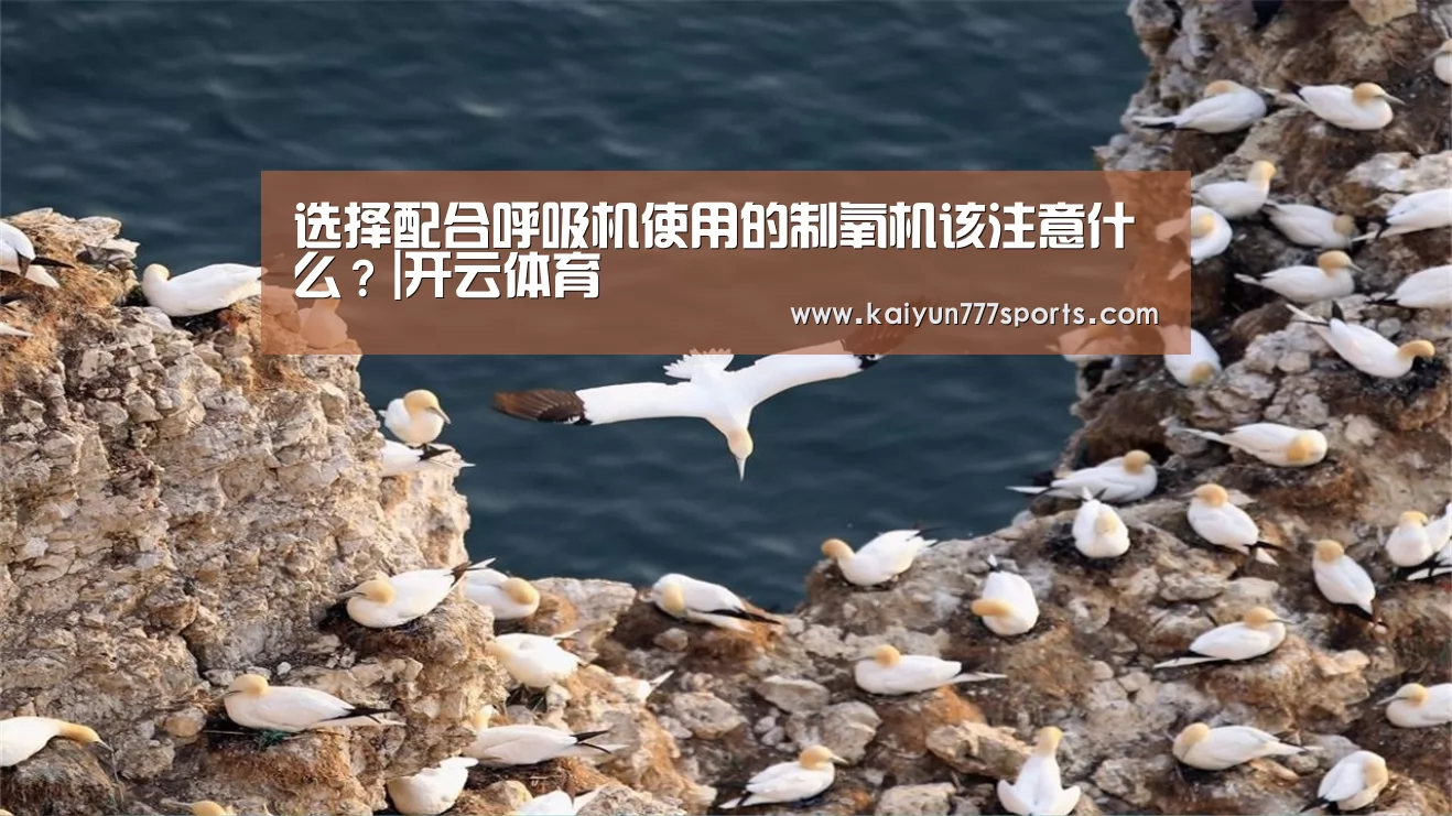 开云下载