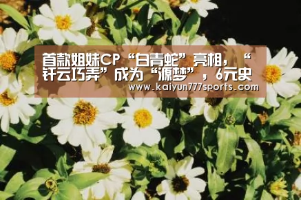 开云聚合